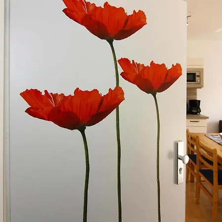 Apartment Apartment, Trassenheide